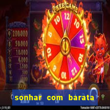 sonhar com barata jogo do bicho